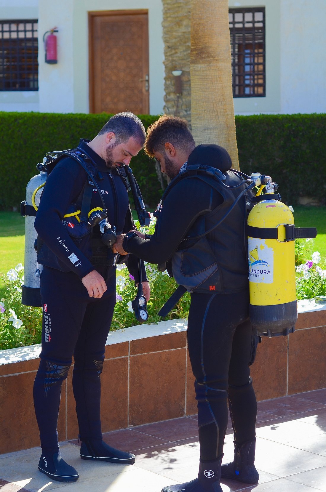 Sharm El Sheikh: PADI Scuba Diver Course