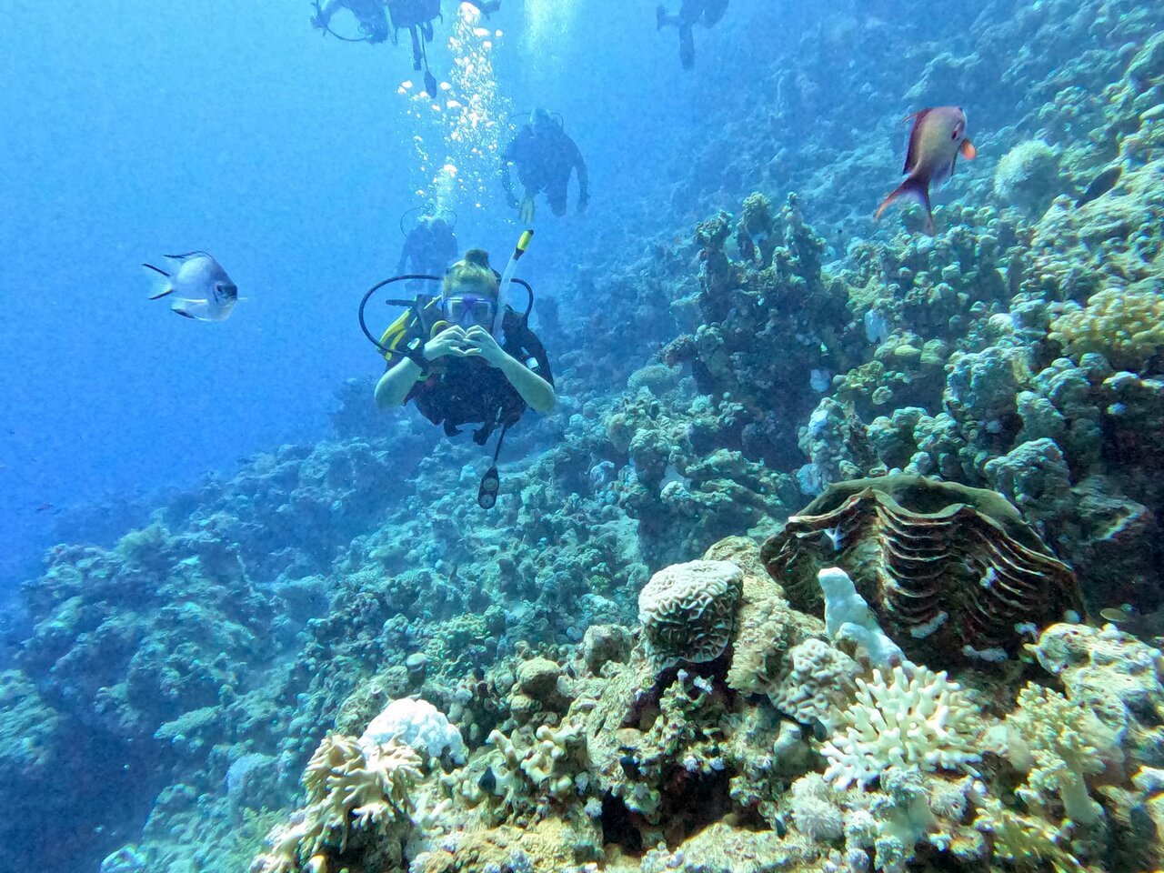 Sharm El Sheikh: PADI Scuba Diving Basics Course