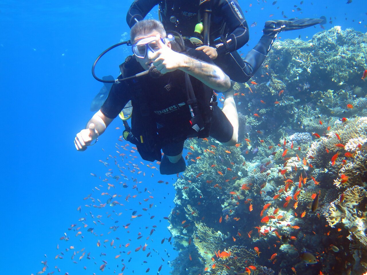 Sharm El Sheikh: PADI Scuba Diving Basics Course