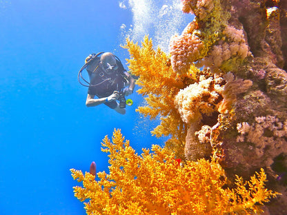 Sharm El Sheikh: PADI Scuba Diving Basics Course