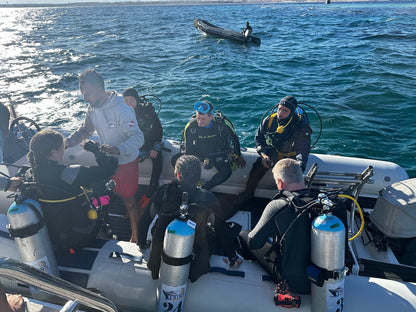 Sharm El Sheikh: PADI Scuba Diving Basics Course