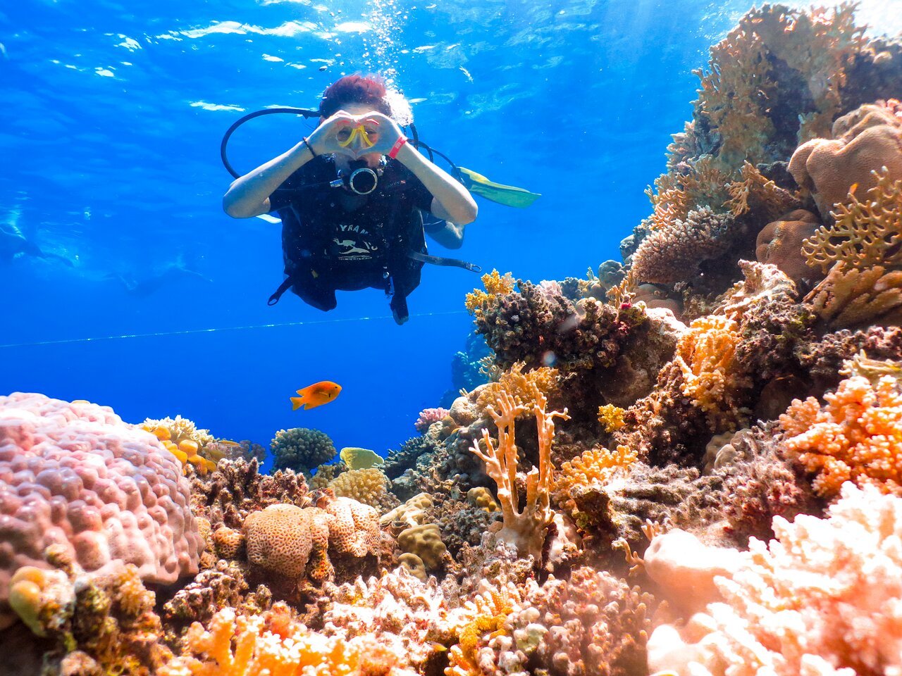 Sharm El Sheikh: PADI Scuba Diving Basics Course