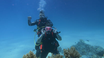 Sharm El Sheikh: PADI Scuba Diving Basics Course