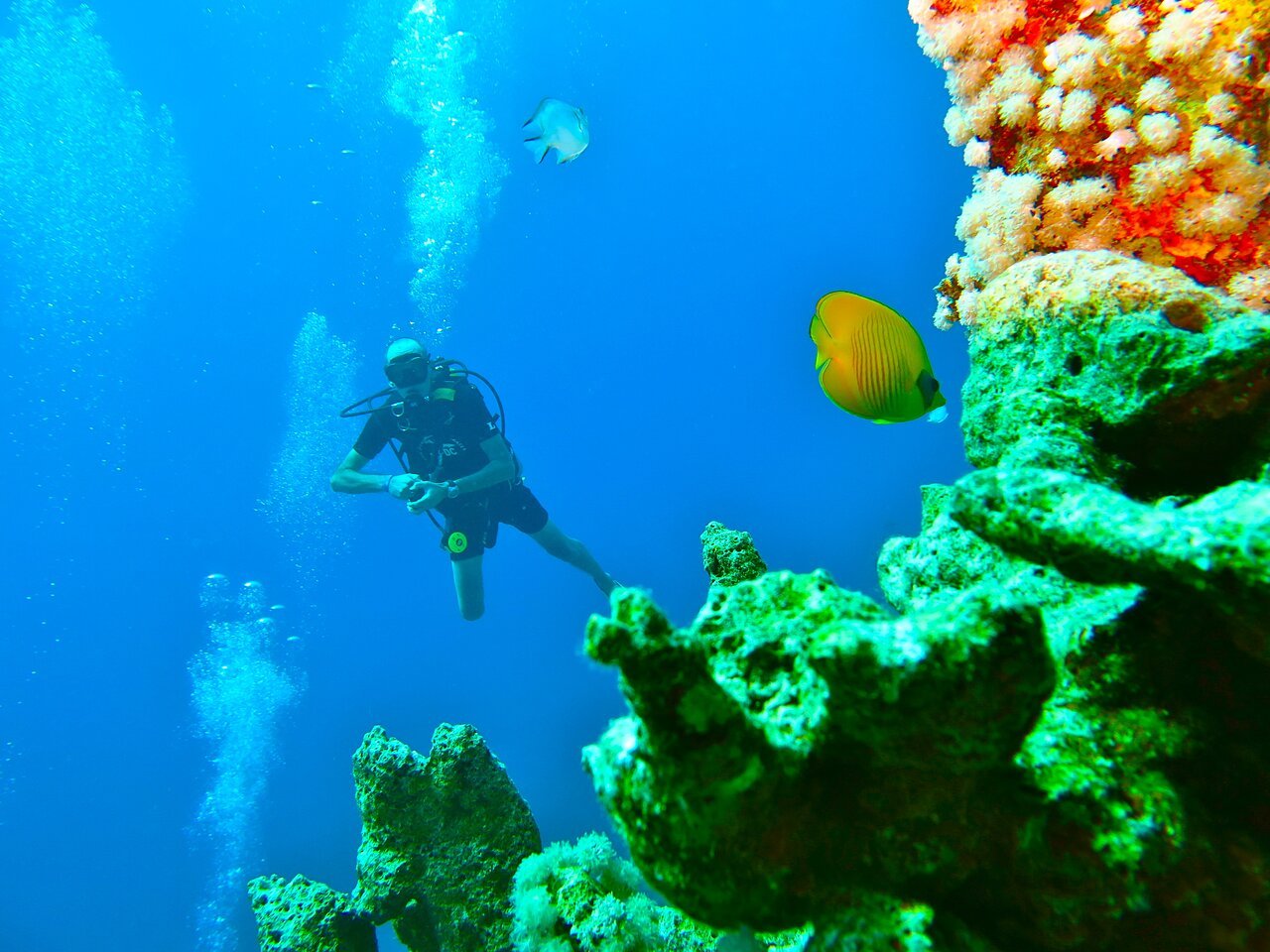 Sharm El Sheikh: PADI Scuba Diving Basics Course