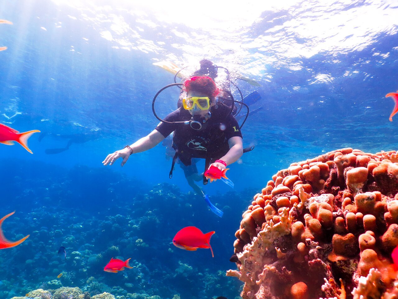 Sharm El Sheikh: PADI Scuba Diving Basics Course