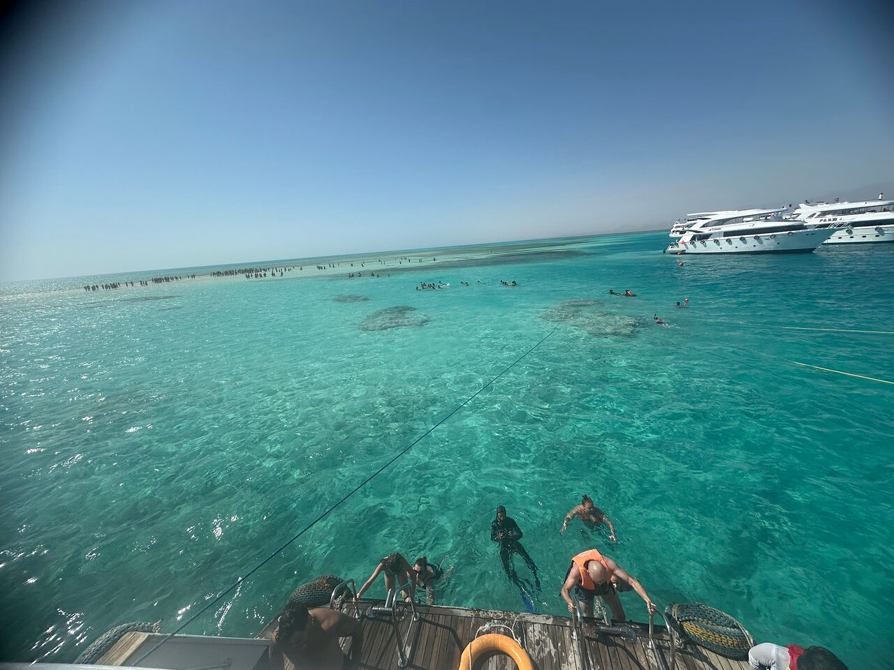 Sharm El Sheikh: PADI Scuba Diving Basics Course