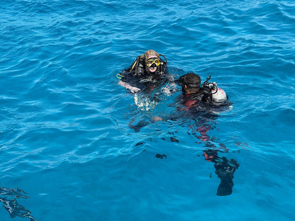 Sharm El Sheikh: PADI Scuba Diving Basics Course