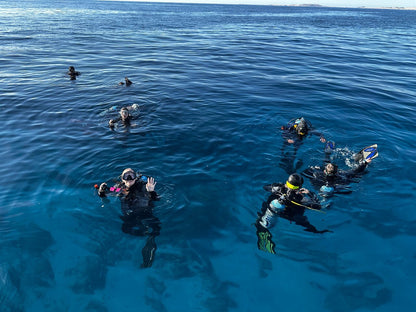 Sharm El Sheikh: PADI Scuba Diving Basics Course