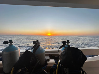 Sharm El Sheikh: PADI Scuba Diving Basics Course