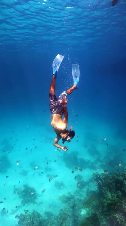 Sharm El Sheikh: Private Boat Trip to Ras Mohammed