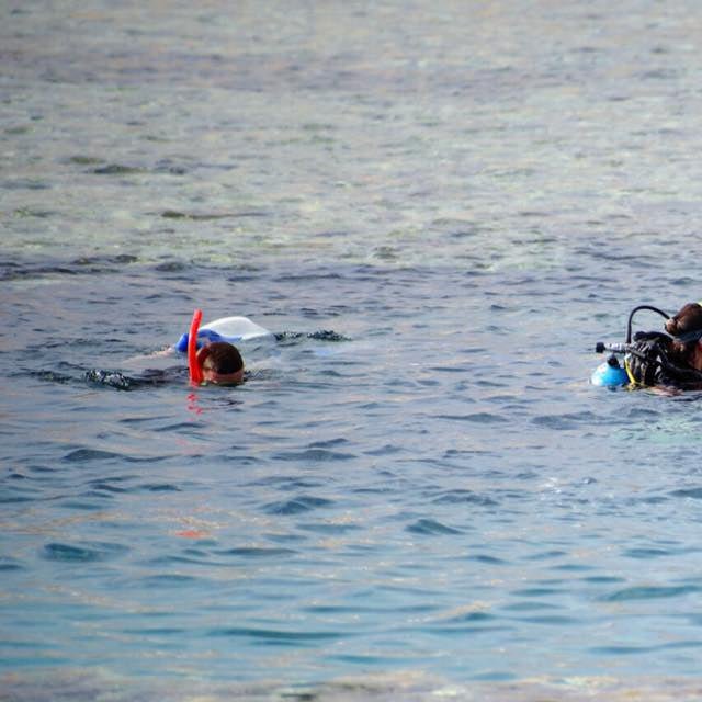 Sharm El Sheikh: Private Boat Trip to Tiran Island