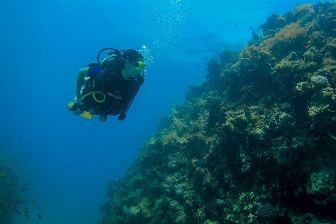 Sharm El Sheikh: Ras Mohamed and White Island Snorkeling or Diving Boat Trip