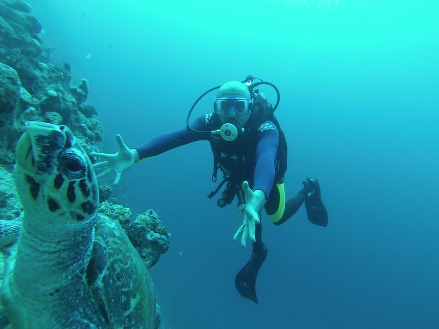 Sharm El Sheikh: Ras Mohamed and White Island Snorkeling or Diving Boat Trip