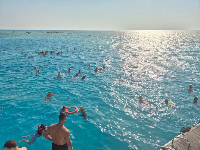Sharm El Sheikh: Ras Mohamed and White Island Snorkeling or Diving Boat Trip