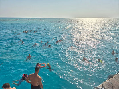 Sharm El Sheikh: Ras Mohamed and White Island Snorkeling or Diving Boat Trip