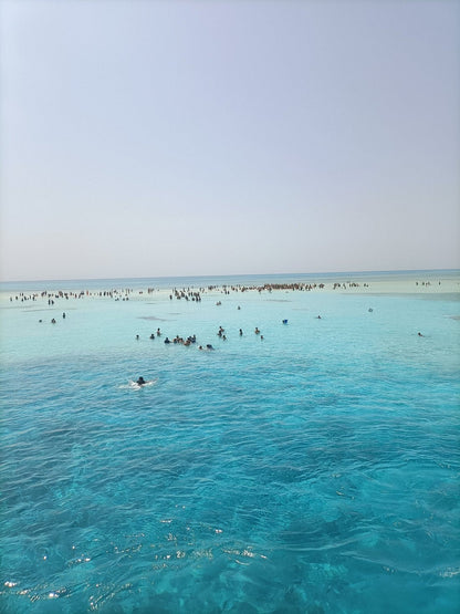 Sharm El Sheikh: Ras Mohamed National Park VIP Snorkeling & Diving Trip