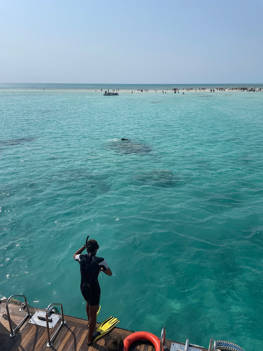 Sharm El Sheikh: Ras Mohamed National Park VIP Snorkeling & Diving Trip