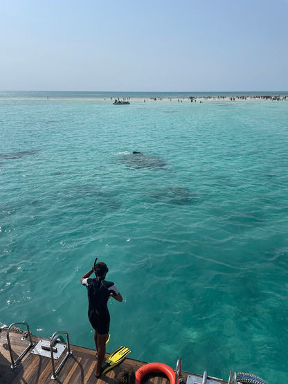 Sharm El Sheikh: Ras Mohamed National Park VIP Snorkeling & Diving Trip