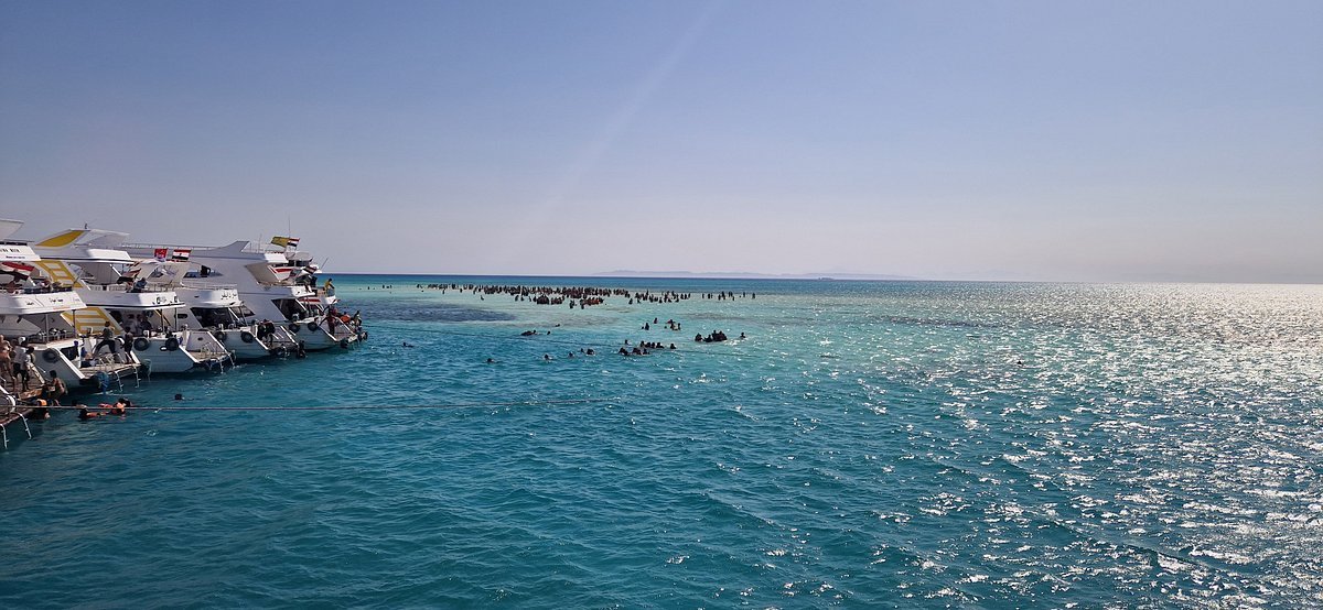Sharm El Sheikh: Ras Mohamed National Park VIP Snorkeling & Diving Trip
