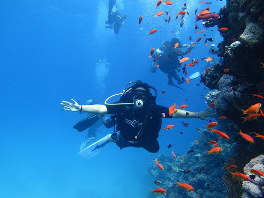 Sharm El Sheikh: Ras Mohamed National Park VIP Snorkeling & Diving Trip