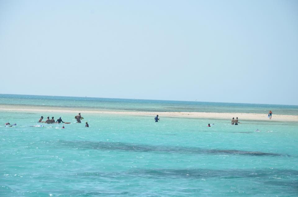 Sharm El Sheikh: Ras Mohammad National Park Snorkeling Trip by Bus