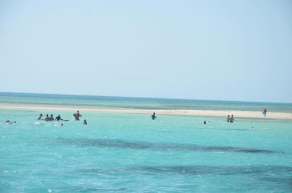 Sharm El Sheikh: Ras Mohammad National Park Snorkeling Trip by Bus