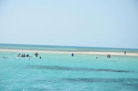 Sharm El Sheikh: Ras Mohammad National Park Snorkeling Trip by Bus