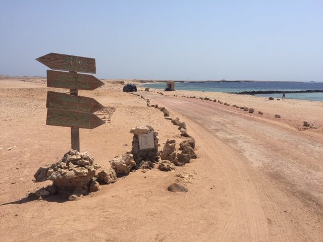 Sharm El Sheikh: Ras Mohammad National Park Snorkeling Trip by Bus