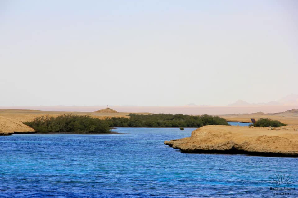 Sharm El Sheikh: Ras Mohammad National Park Snorkeling Trip by Bus