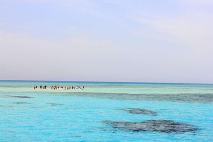 Sharm El Sheikh: Ras Mohammad National Park Snorkeling Trip by Bus