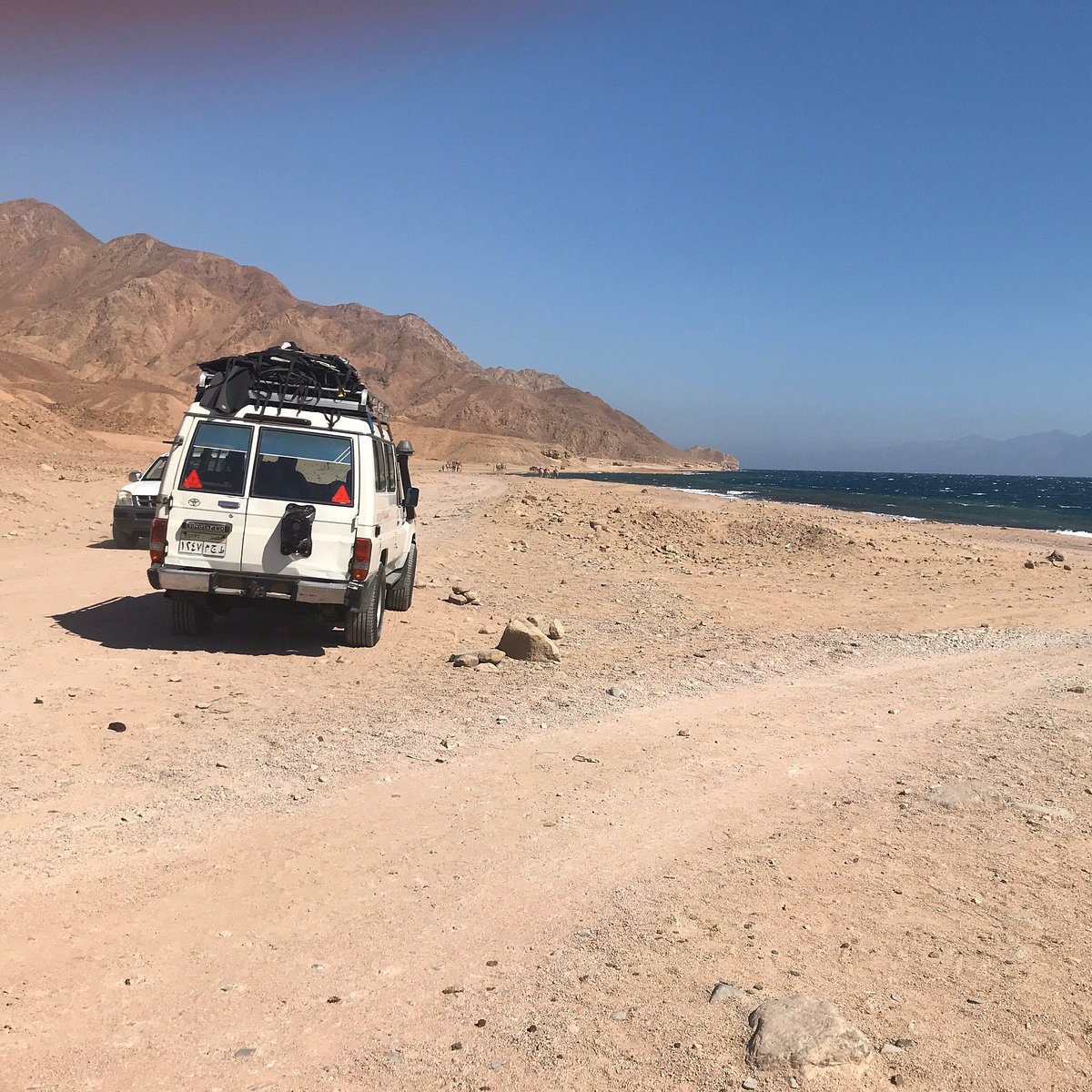 Sharm El Sheikh: Ras Mohammad National Park Snorkeling Trip by Bus