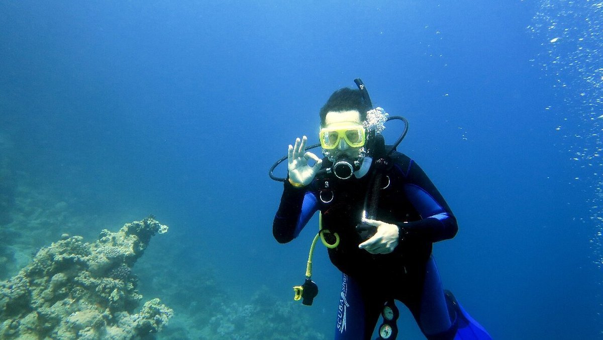 Sharm El Sheikh: Ras Mohammed and White Island Snorkeling Boat Trip with Optional Dive