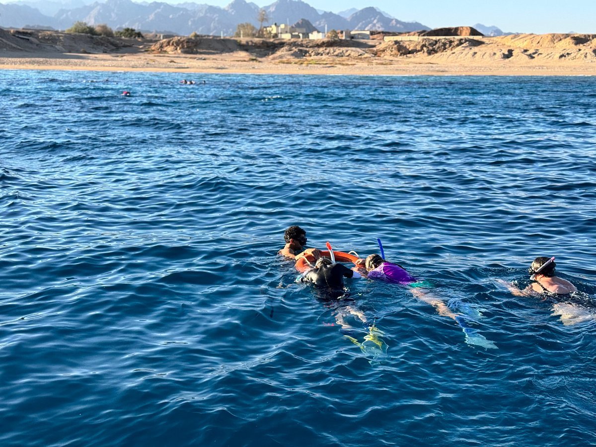 Sharm El Sheikh: Ras Mohammed and White Island Snorkeling Boat Trip with Optional Dive