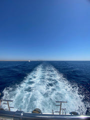 Sharm El Sheikh: Ras Mohammed and White Island Snorkeling Boat Trip with Optional Dive