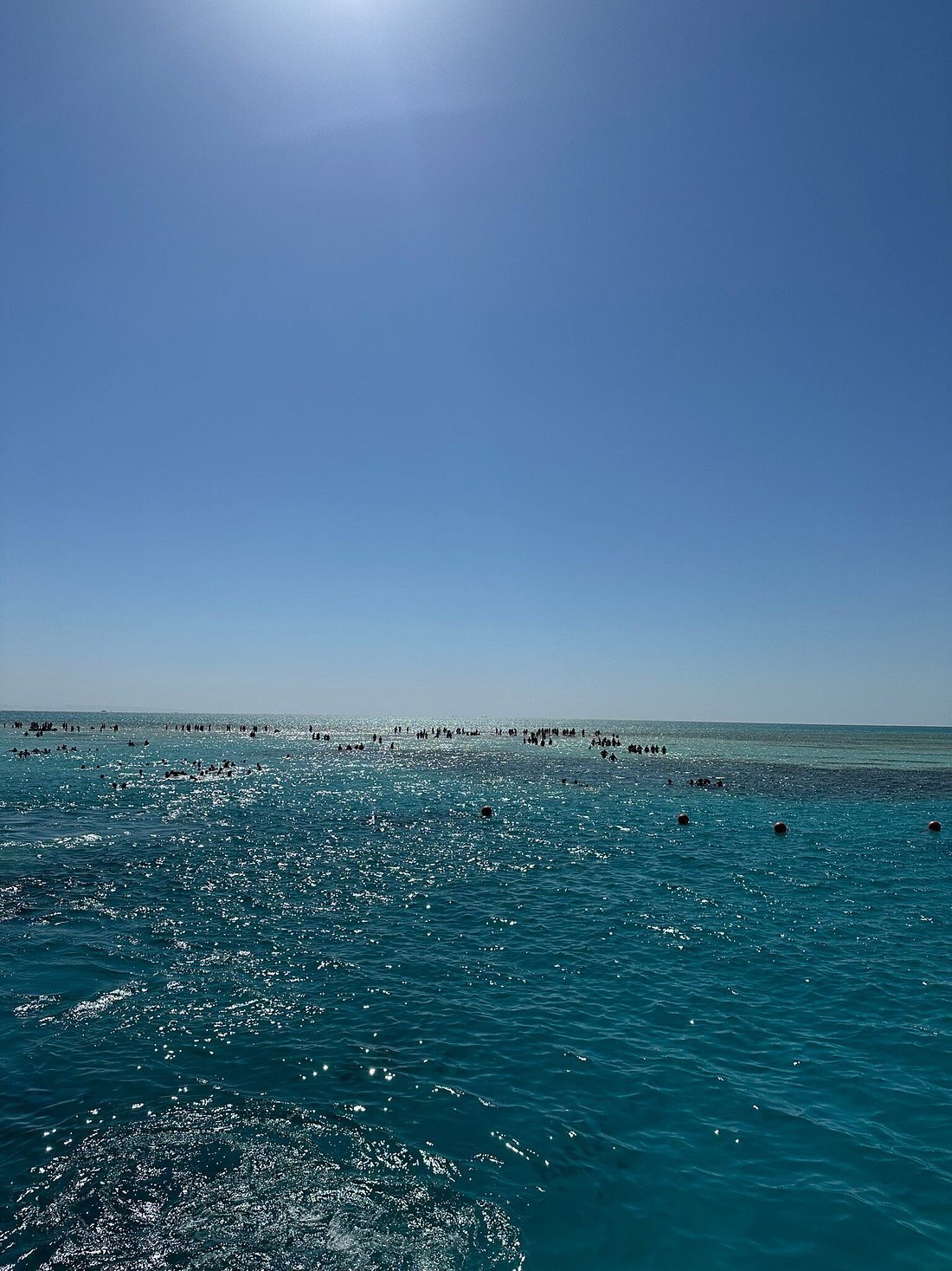Sharm El Sheikh: Ras Mohammed and White Island Snorkeling Boat Trip with Optional Dive