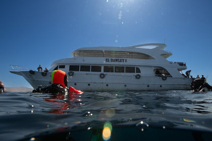 Sharm El Sheikh: Ras Mohammed and White Island Snorkeling Boat Trip with Optional Dive
