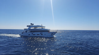 Sharm El Sheikh: Ras Mohammed and White Island Snorkeling Boat Trip with Optional Dive