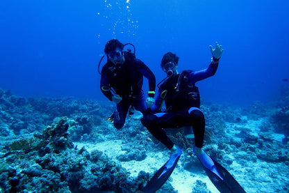 Sharm El Sheikh: Ras Mohammed Diving Trip for Certified Divers