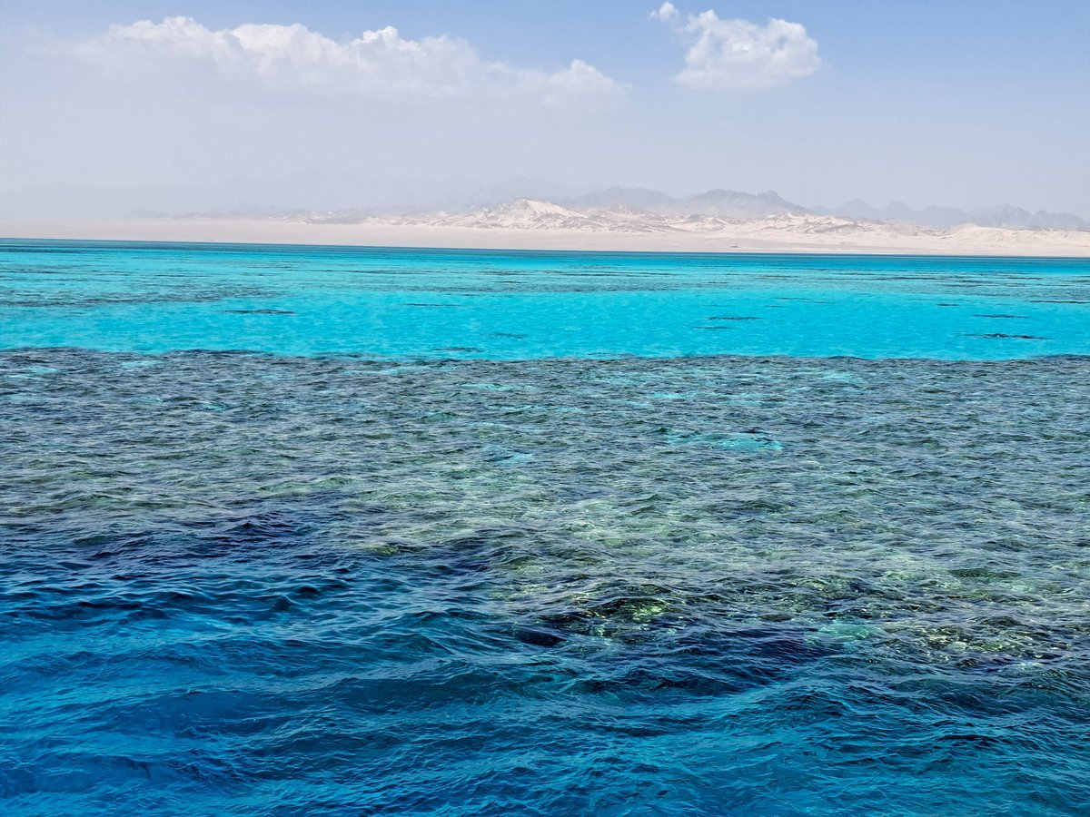 Sharm El Sheikh: Ras Mohammed Diving Trip for Certified Divers