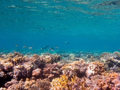 Sharm El Sheikh: Scuba Diver Course