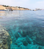 Sharm El Sheikh: Shore Dives in Sharks Bay