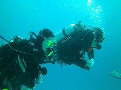 Sharm El Sheikh: Shore Dives in Sharks Bay