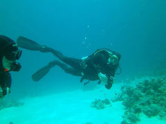 Sharm El Sheikh: Shore Dives in Sharks Bay