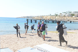Sharm El Sheikh: Shore Dives in Sharks Bay