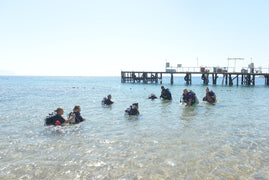 Sharm El Sheikh: Shore Dives in Sharks Bay