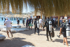 Sharm El Sheikh: Shore Dives in Sharks Bay