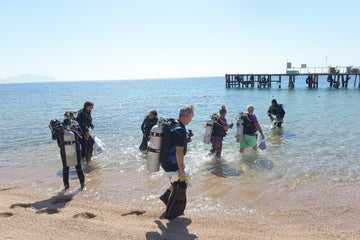 Sharm El Sheikh: Shore Dives in Sharks Bay