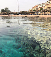 Sharm El Sheikh: Shore Dives in Sharks Bay