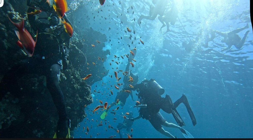 Sharm El Sheikh: Snorkeling and Diving to Ras Mohamed And White Island by VIP Boat