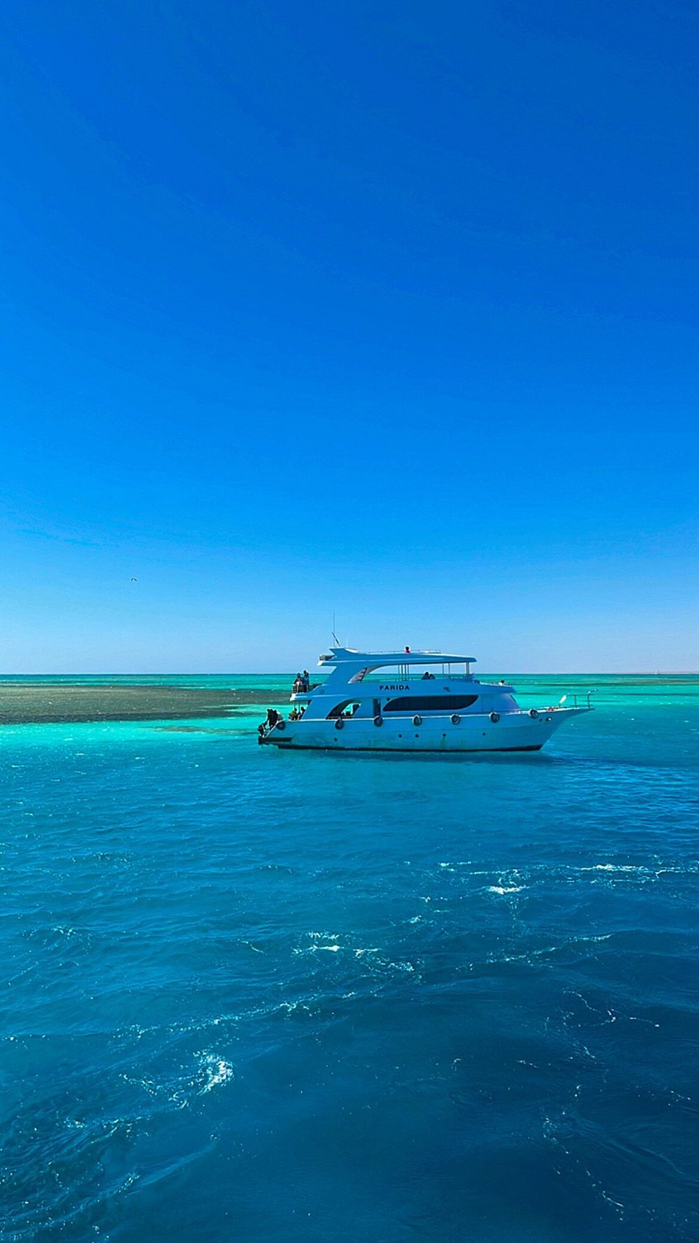 Sharm El Sheikh: Snorkeling and Diving to Ras Mohamed And White Island by VIP Boat